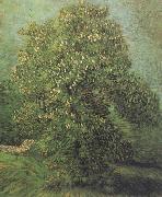 Chestnut Tree in Blosson (nn04) Vincent Van Gogh